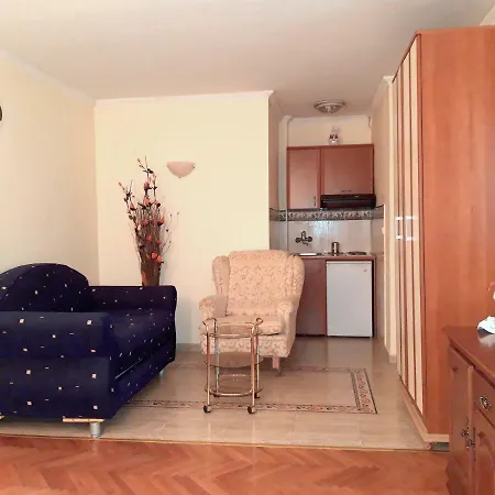 Centar Milena Appartement *